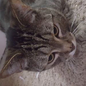 Meet your Posher, Lexi